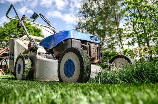 How to Keep Your Lawn Healthy & in Good Condition